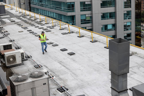 Best Asphalt Shingles Roofing  in Milan, OH
