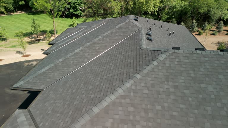 Best Roof Coating Services  in Milan, OH